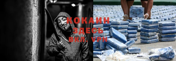 индика Баксан