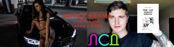 шишки Арсеньев