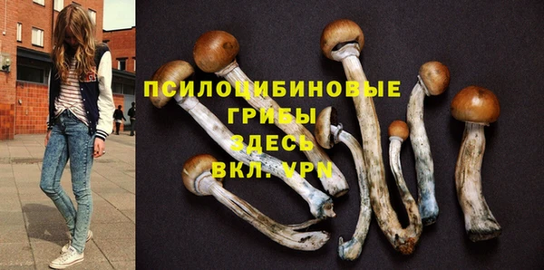 индика Баксан