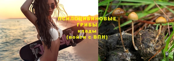 MDMA Армянск