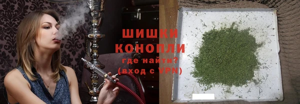 индика Баксан
