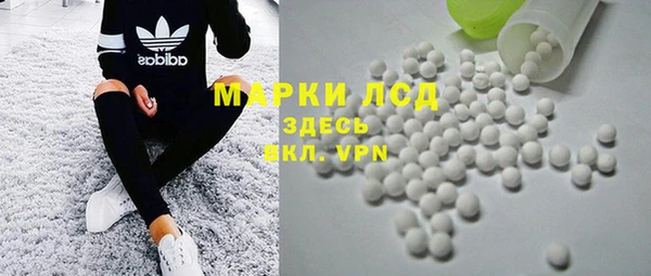 индика Баксан