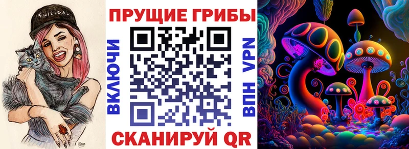 Псилоцибиновые грибы Psilocybine cubensis  закладка  Магас 